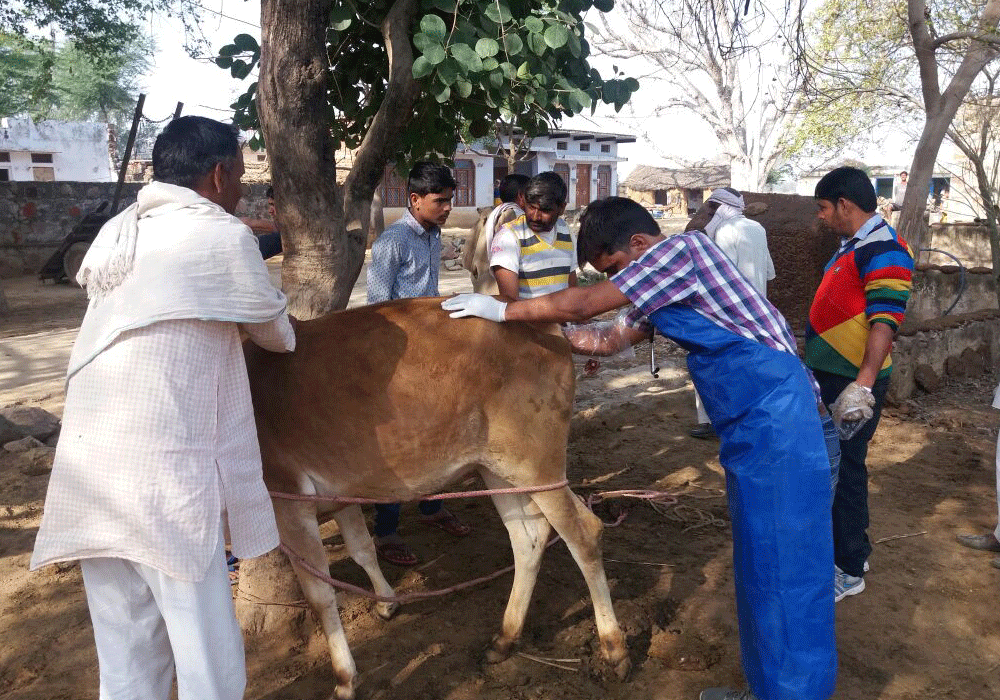 Infertility Camp