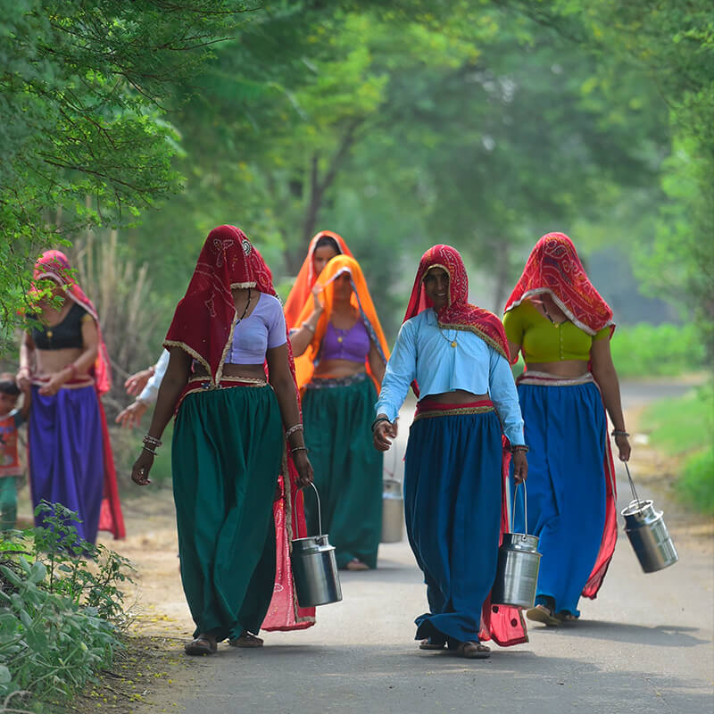 Sakhi Mahila Milk About Us